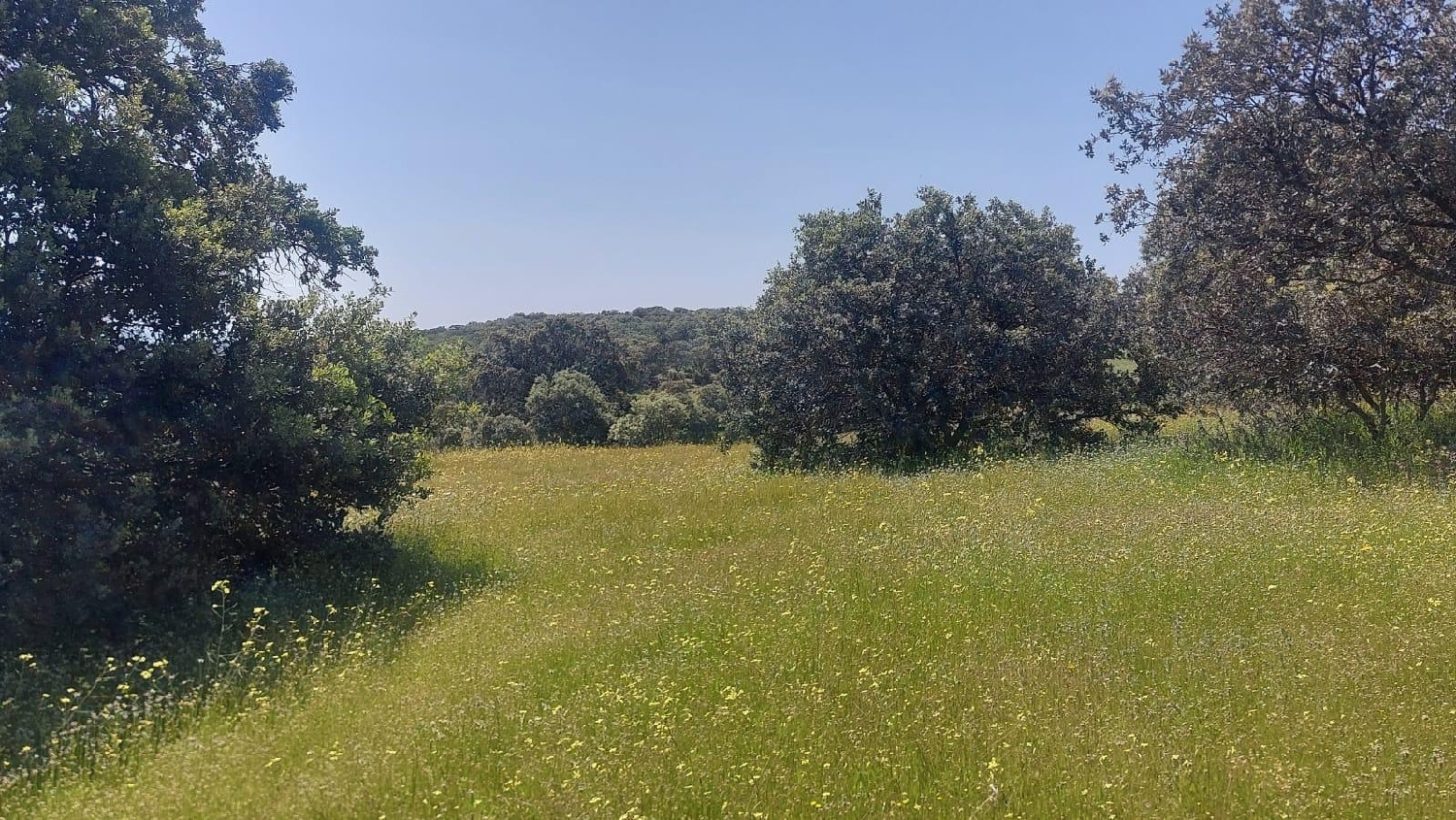 kaufen Grundstück Aldeaquemada Sierra Morena 8