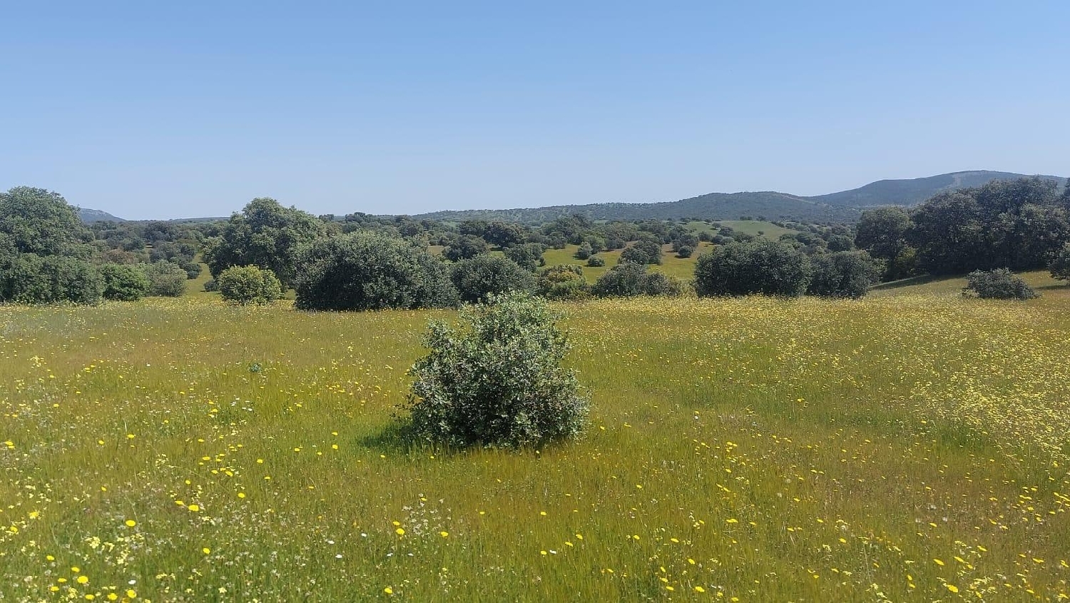 kaufen Grundstück Aldeaquemada Sierra Morena 2