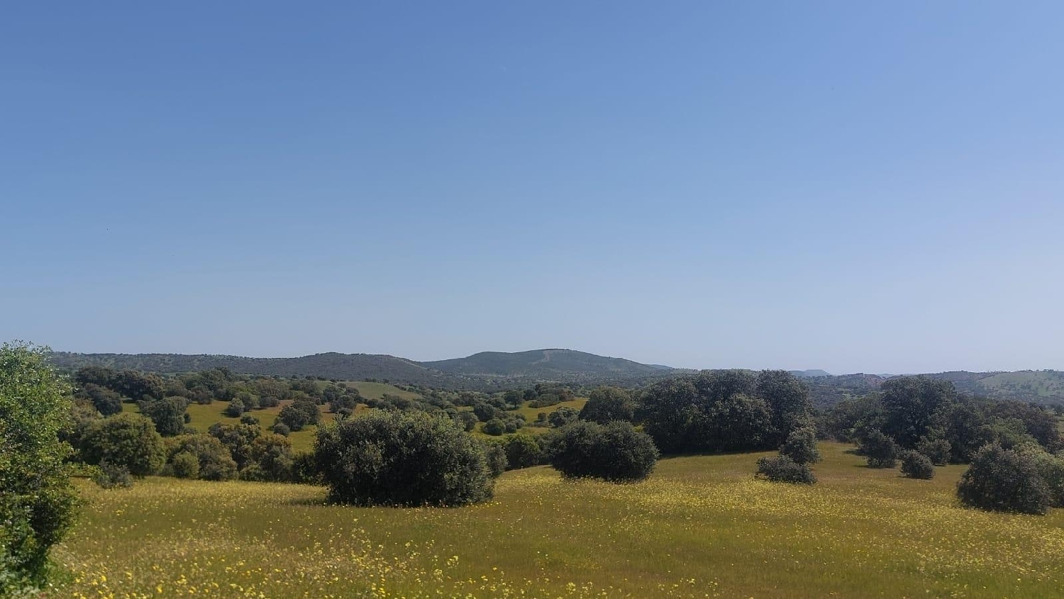 kaufen Grundstück Aldeaquemada Sierra Morena 4