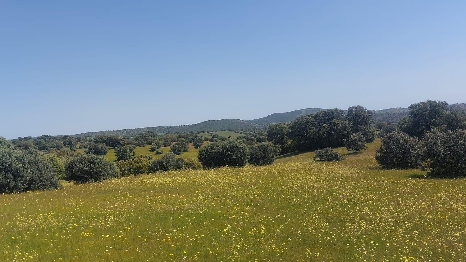 kaufen Grundstück Aldeaquemada Sierra Morena 3