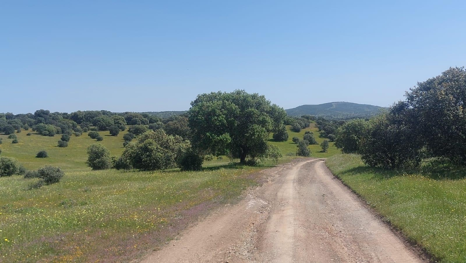 kaufen Grundstück Aldeaquemada Sierra Morena 1
