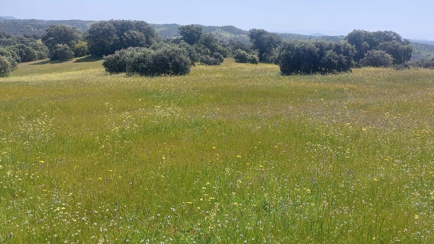 kaufen Grundstück Aldeaquemada Sierra Morena 7