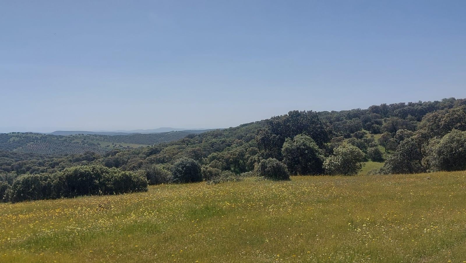 kaufen Grundstück Aldeaquemada Sierra Morena 5