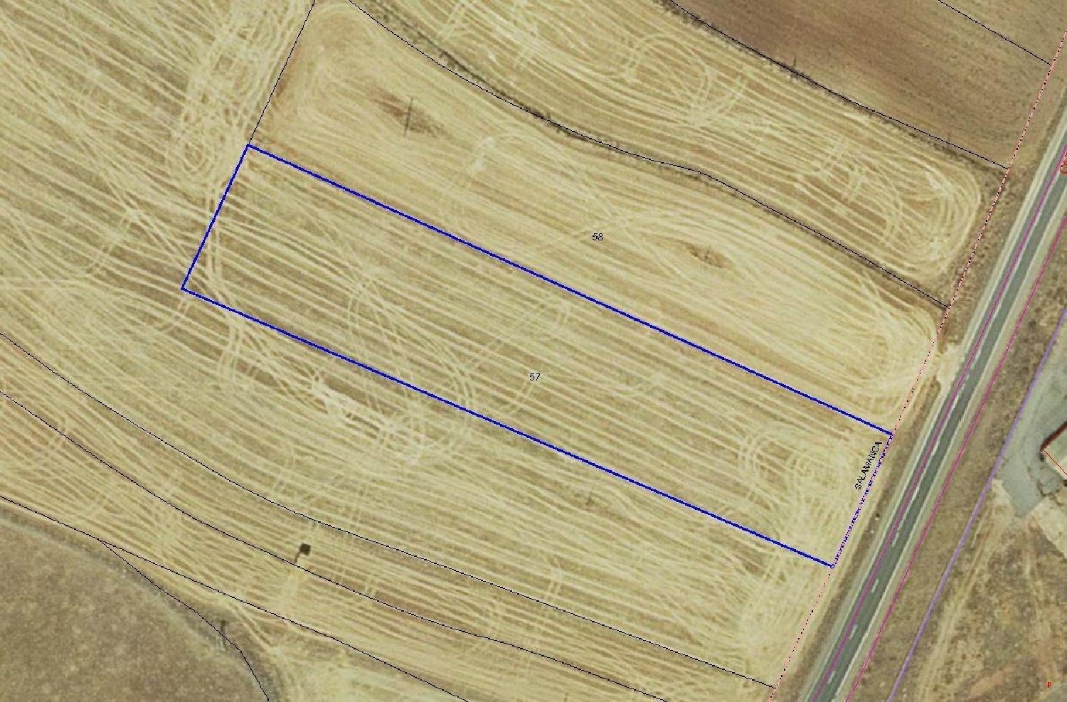  kaufen Grundstück Aldeatejada Campo De Salamanca 1