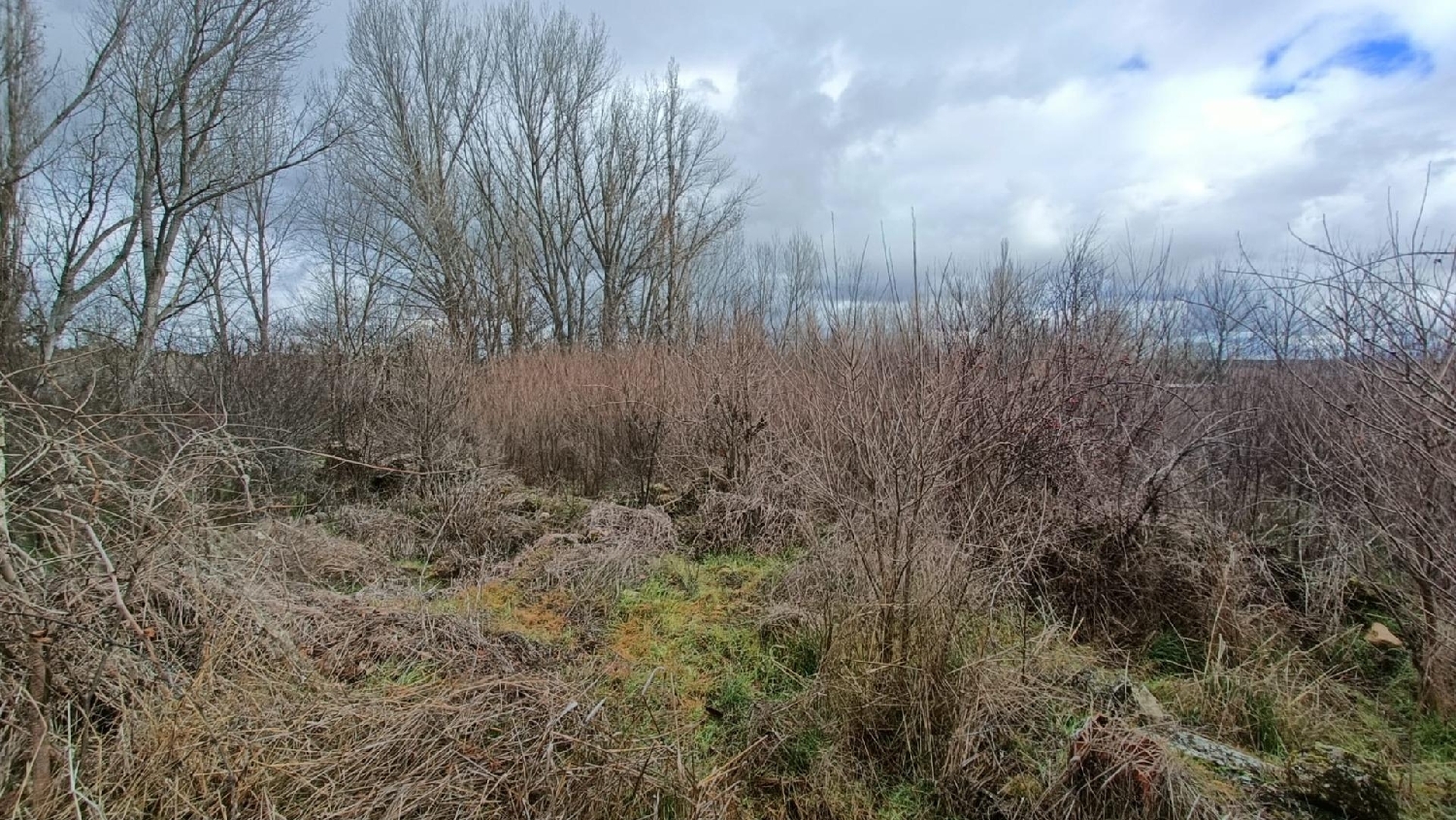 till salu tomt Aldeonsancho Honorse Tierra De Pinares 2