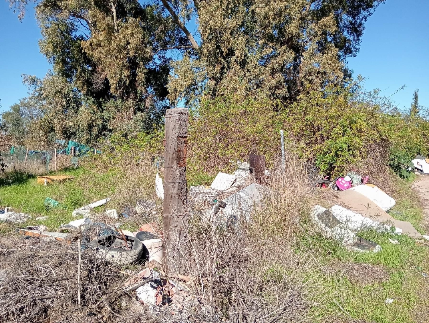  à vendre terrain Algeciras Casco Antiguo Campo De Gibraltar 4