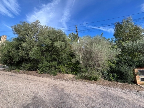 Alginet Ribera Alta tomt foto 6342096