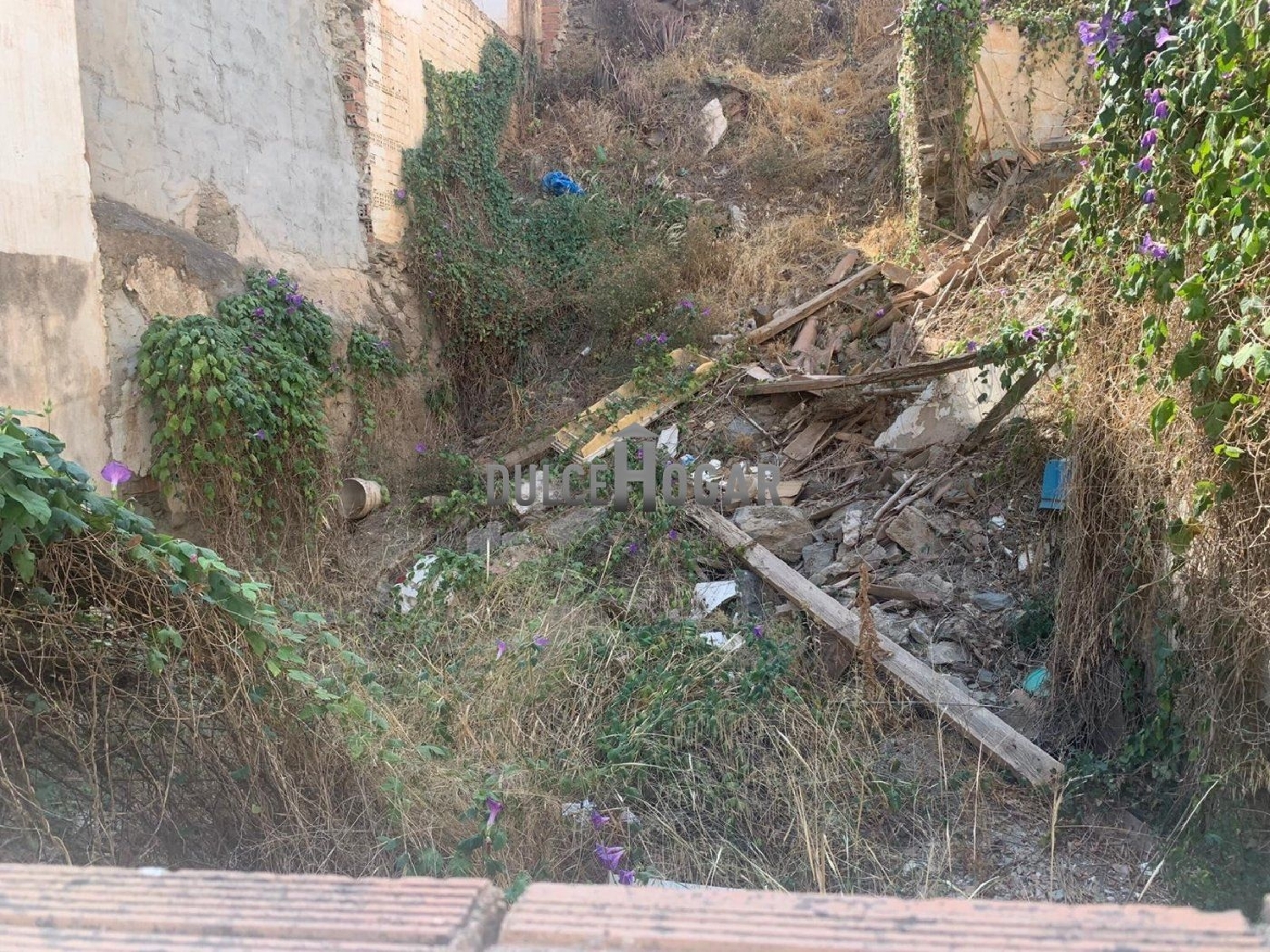  en venta terreno Almáchar Axarquía 3