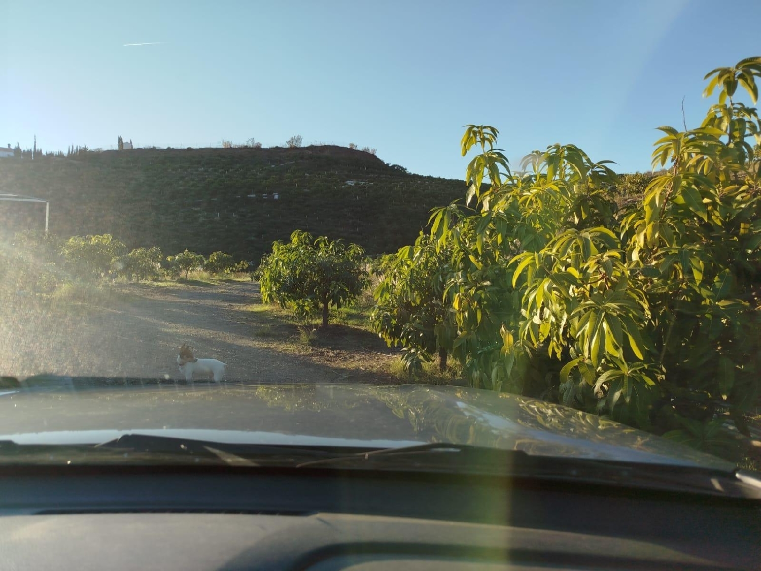  en venta terreno Almayate Alto Axarquía 7