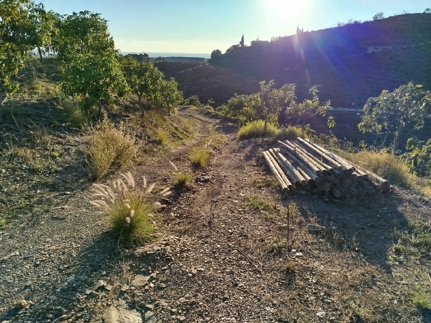  en venta terreno Almayate Alto Axarquía 8