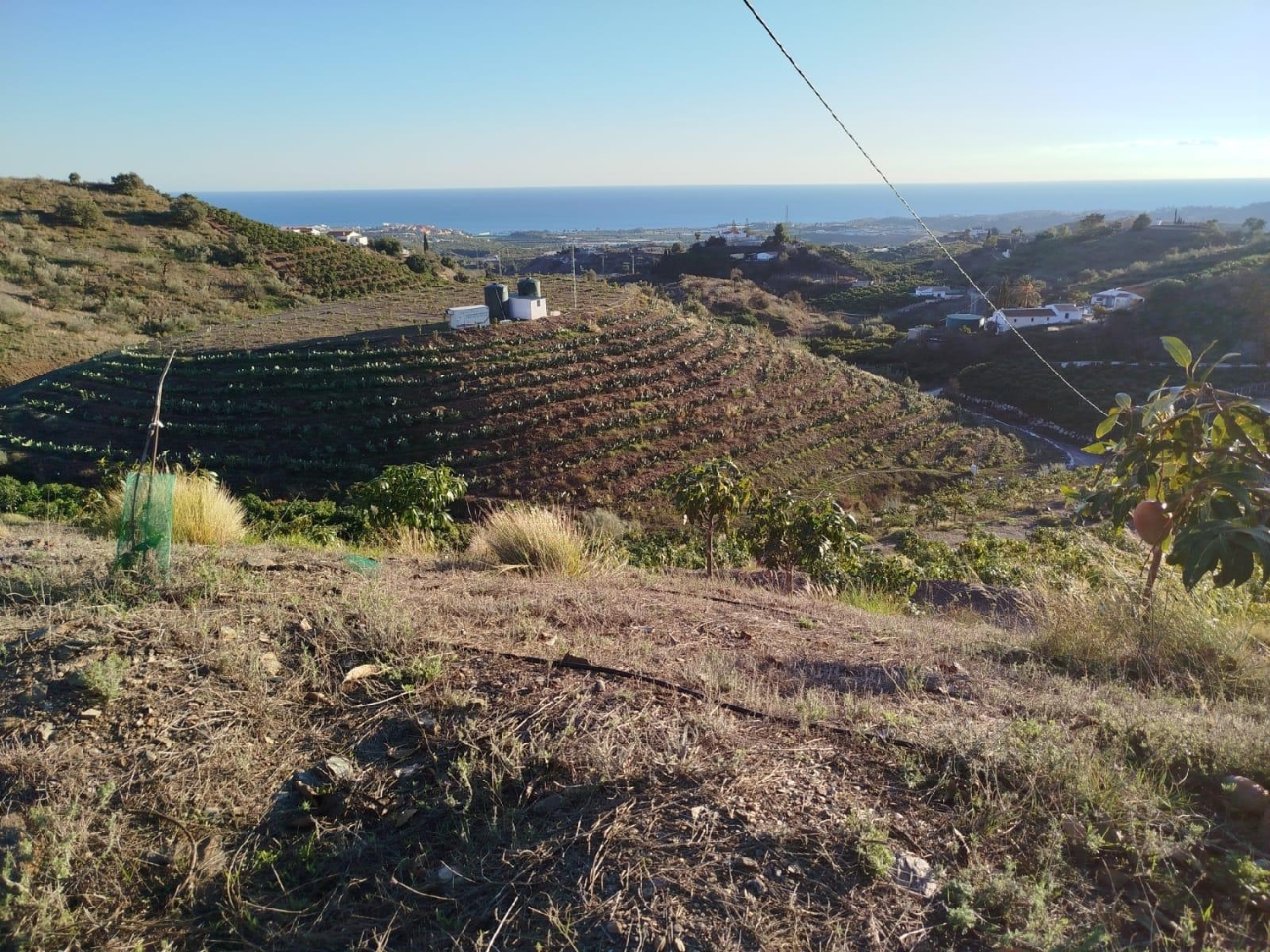  en venta terreno Almayate Alto Axarquía 1