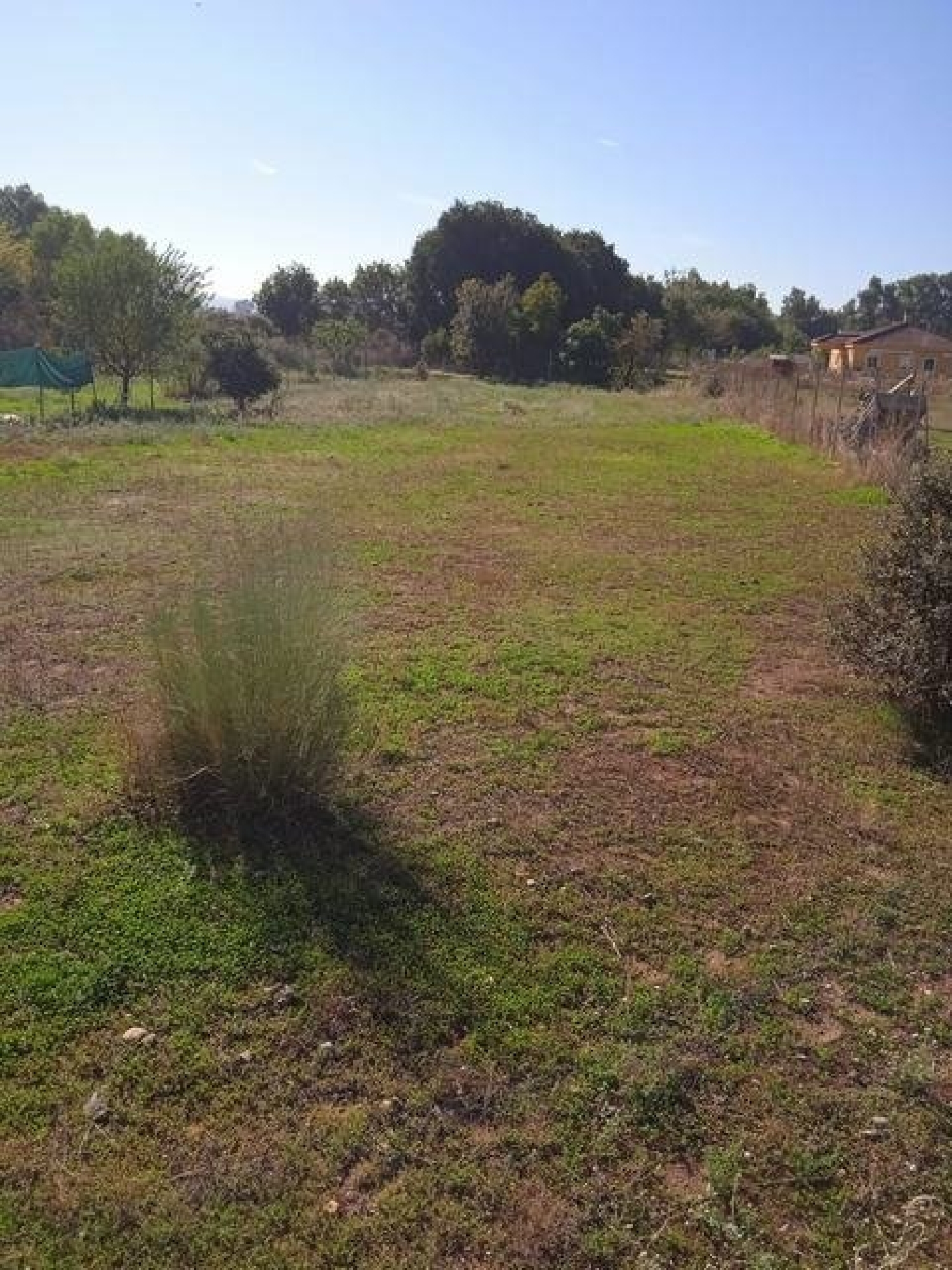  kaufen Grundstück Almodóvar Del Río Valle Medio Del Guadalquivir 3