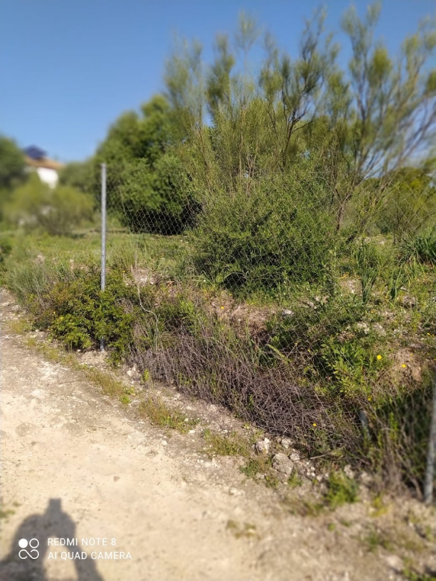 te koop perceel Almodóvar Del Río Valle Medio Del Guadalquivir 1