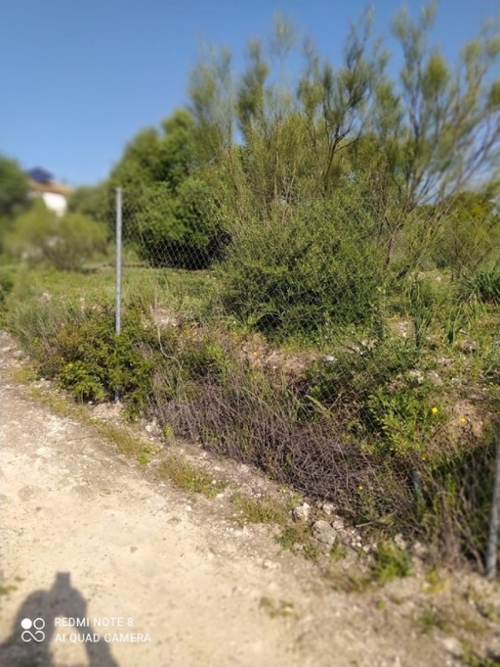 Almodóvar Del Río Valle Medio Del Guadalquivir perceel foto 6341594