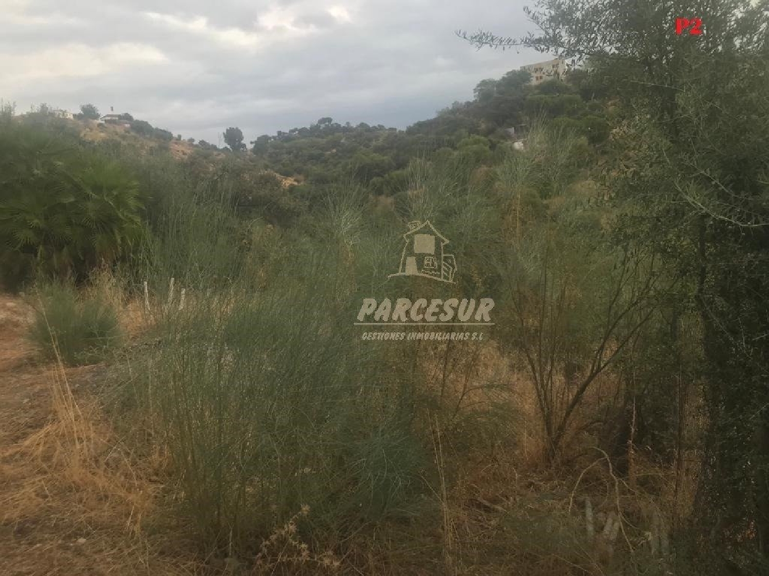 te koop perceel Almodóvar Del Río Valle Medio Del Guadalquivir 6