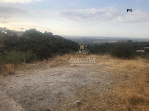 Almodóvar Del Río Valle Medio Del Guadalquivir perceel foto 6341655