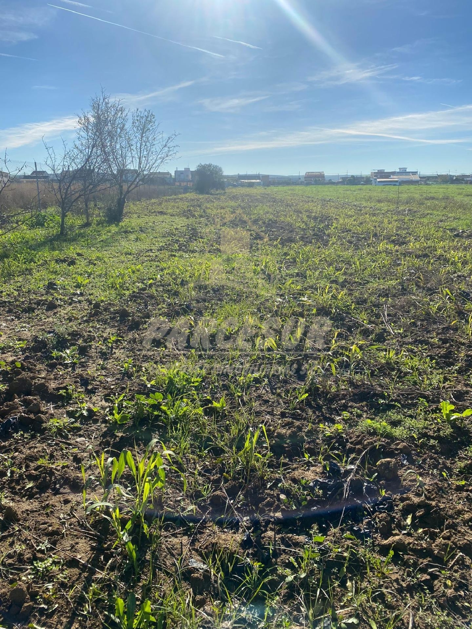 till salu tomt Almodóvar Del Río Valle Medio Del Guadalquivir 7