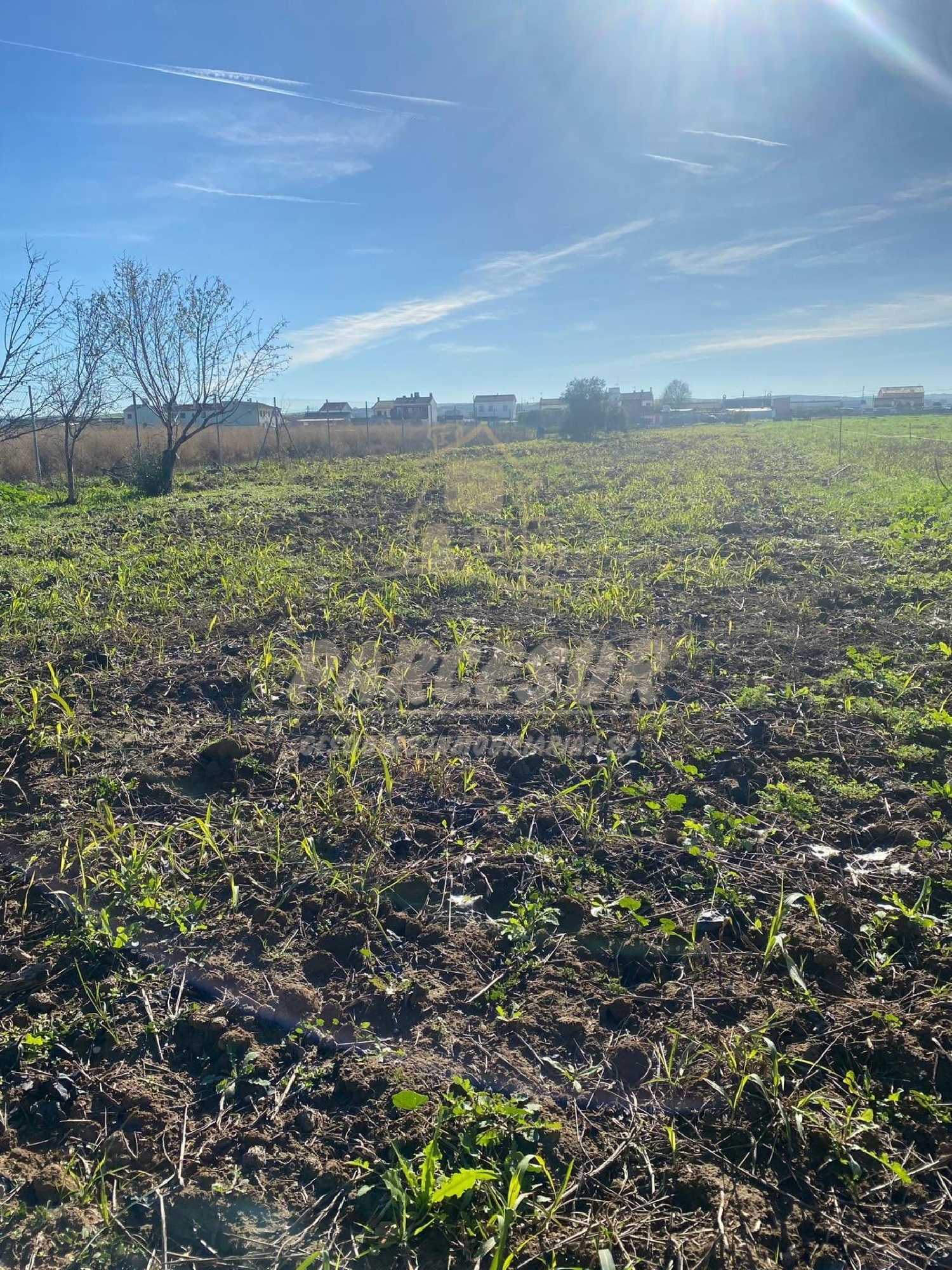 till salu tomt Almodóvar Del Río Valle Medio Del Guadalquivir 4