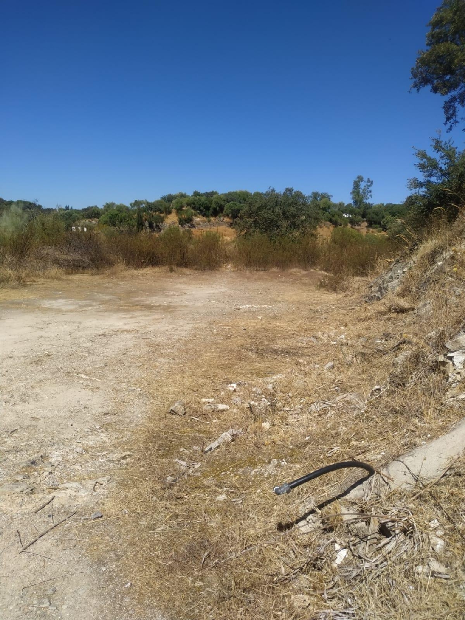 till salu tomt Almodóvar Del Río Valle Medio Del Guadalquivir 4