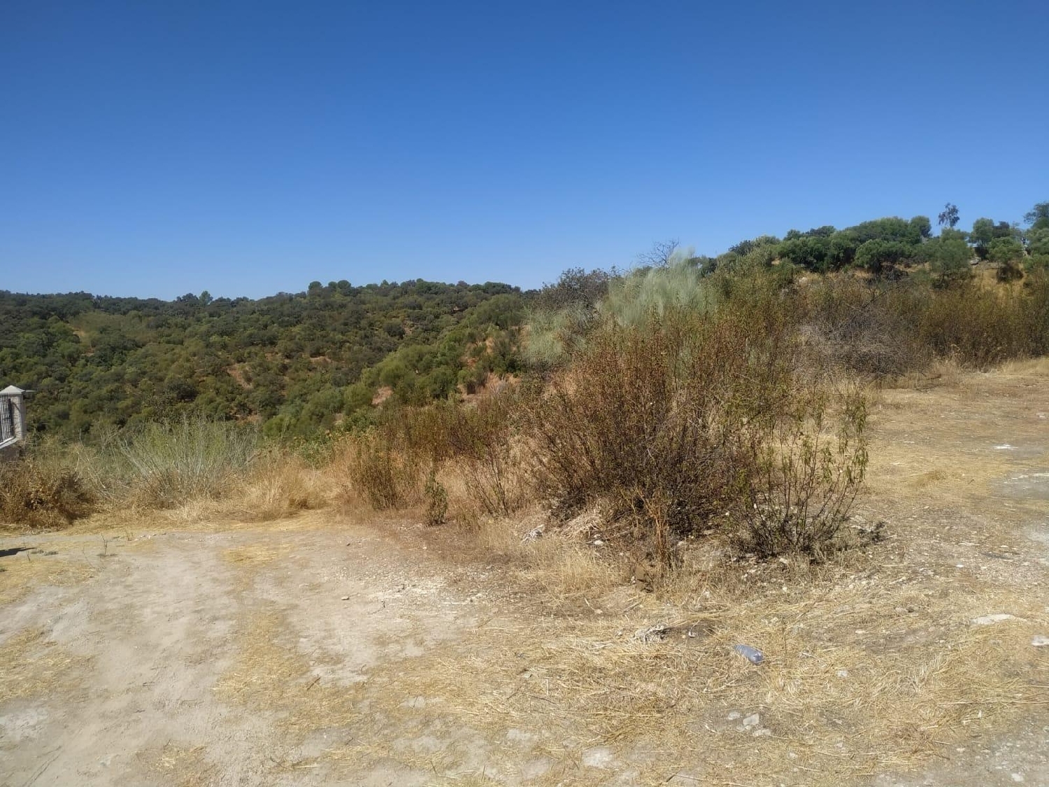 till salu tomt Almodóvar Del Río Valle Medio Del Guadalquivir 8