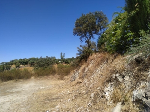 Almodóvar Del Río Valle Medio Del Guadalquivir tomt foto 6341802