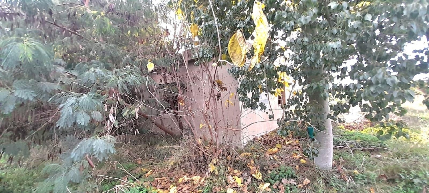 kaufen Grundstück Almoradí Baix Segura 3