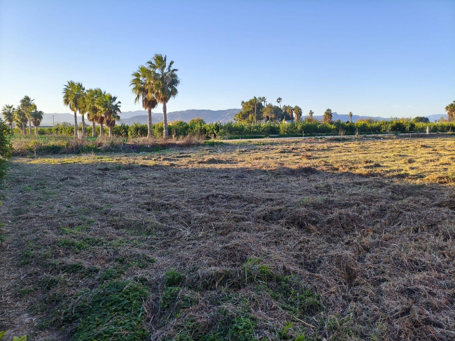 kaufen Grundstück Alquerias Del Niño Perdido Plana Baixa 2