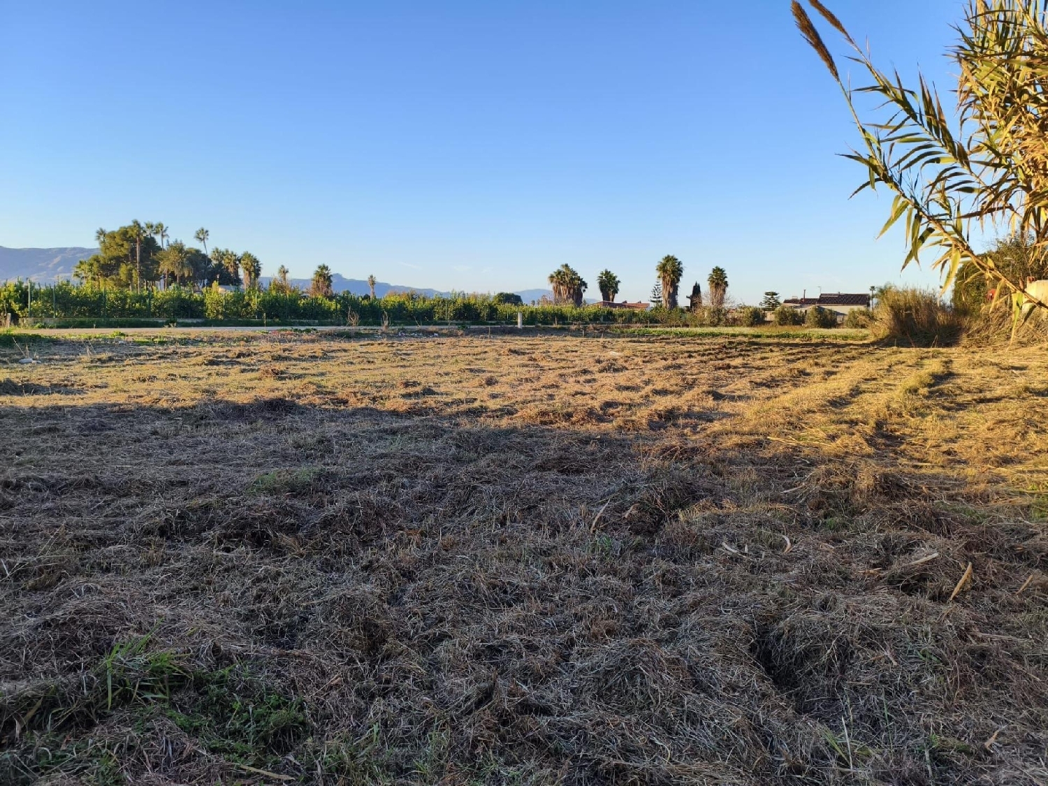 kaufen Grundstück Alquerias Del Niño Perdido Plana Baixa 4