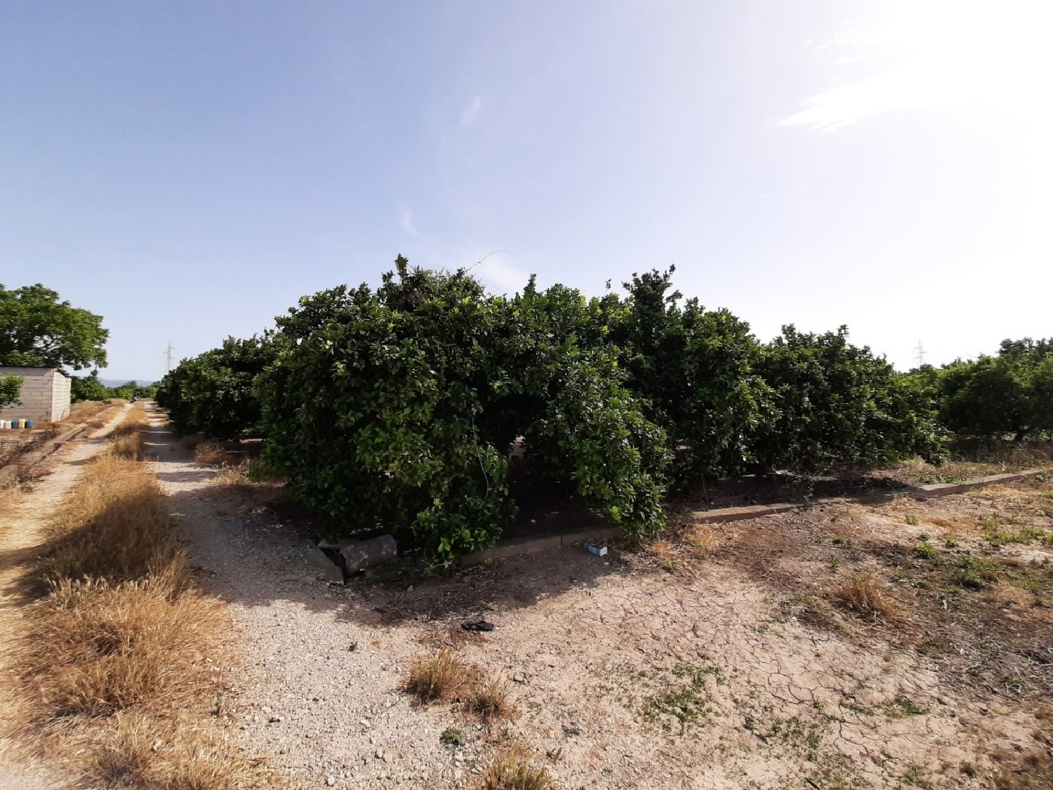 for sale plot Alzira Ribera Alta 8