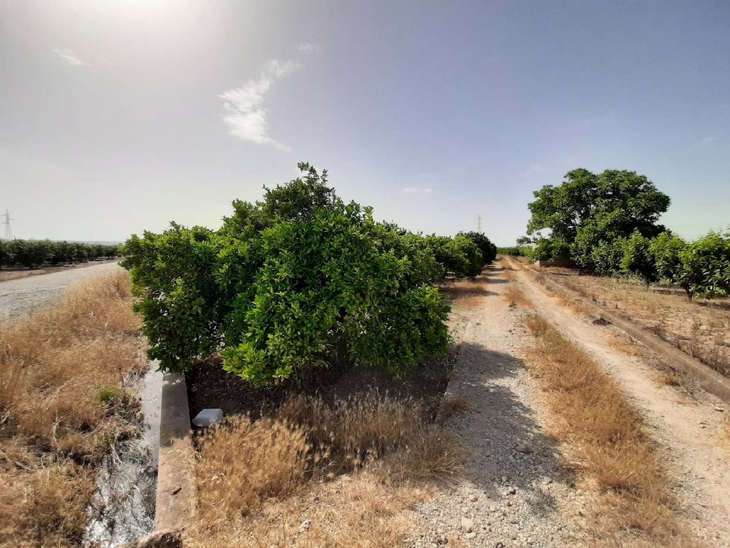 for sale plot Alzira Ribera Alta 6