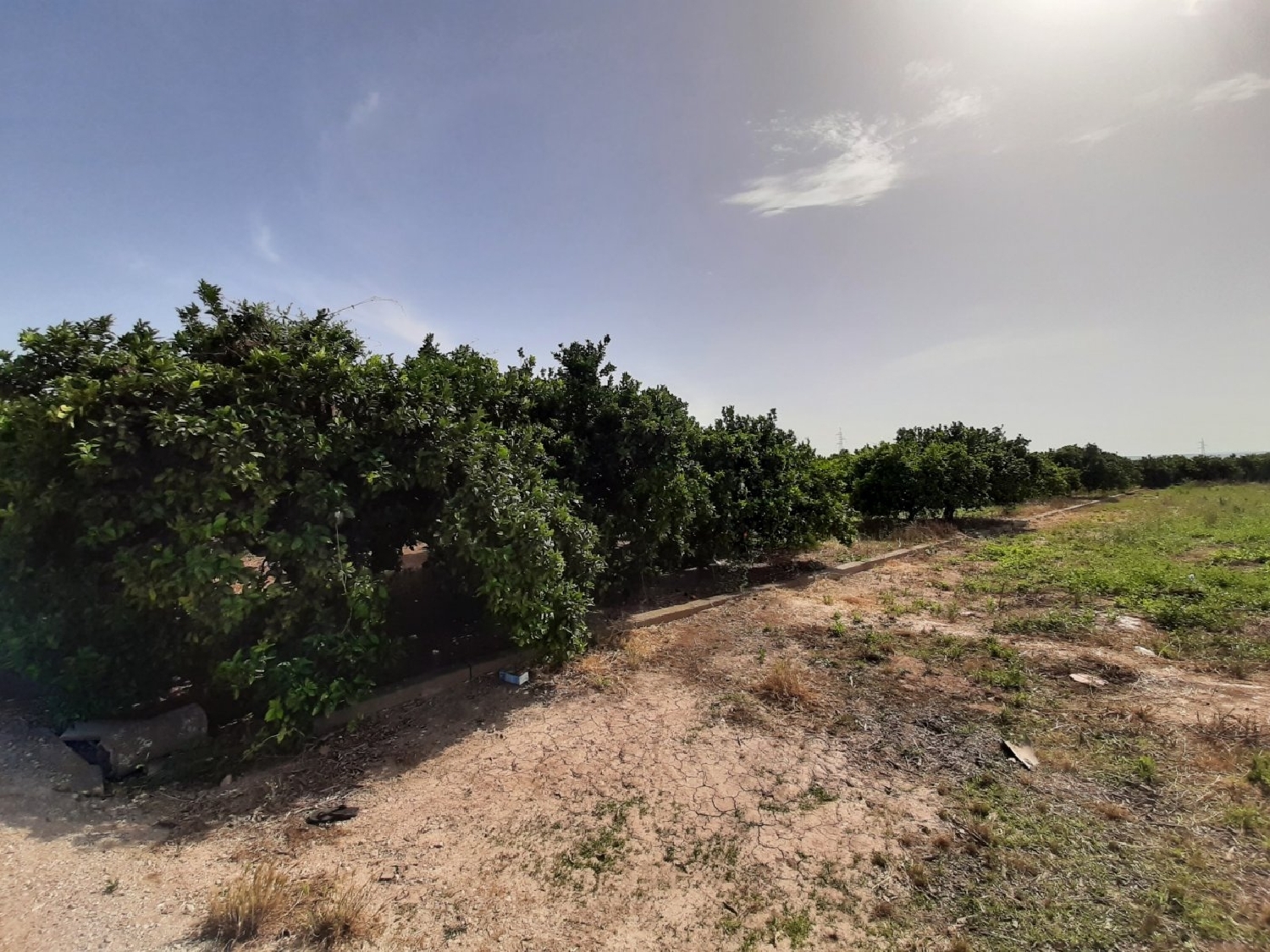 for sale plot Alzira Ribera Alta 7