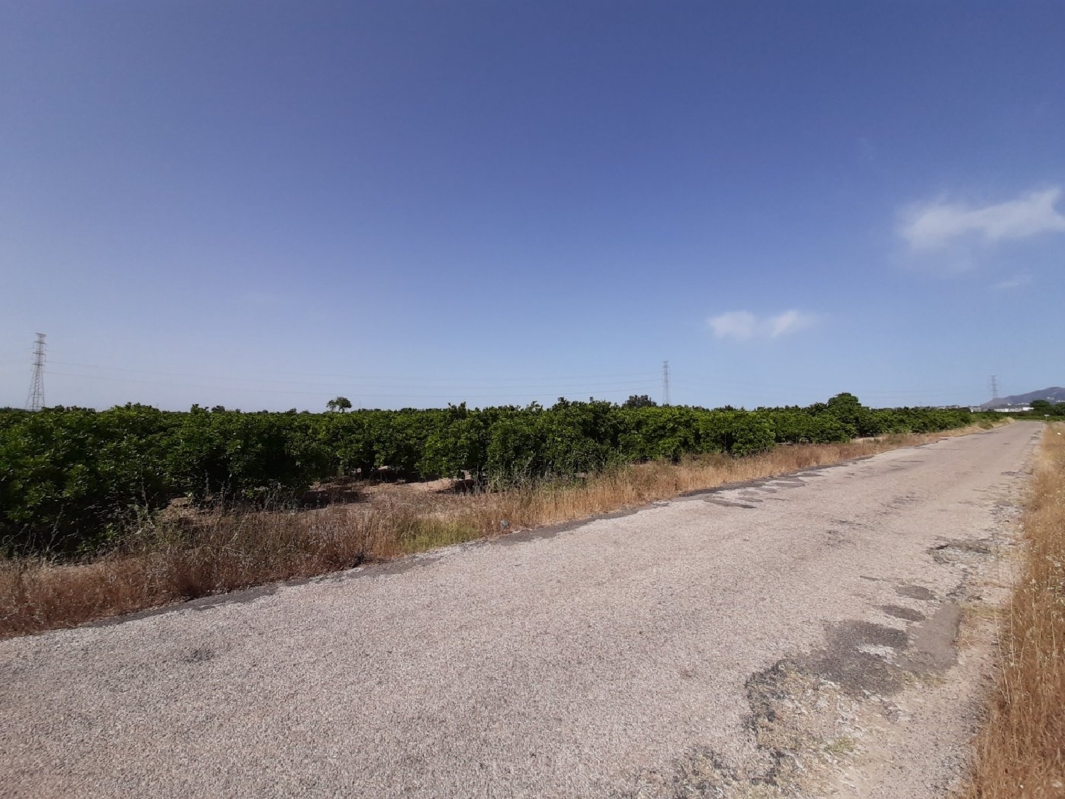 for sale plot Alzira Ribera Alta 1