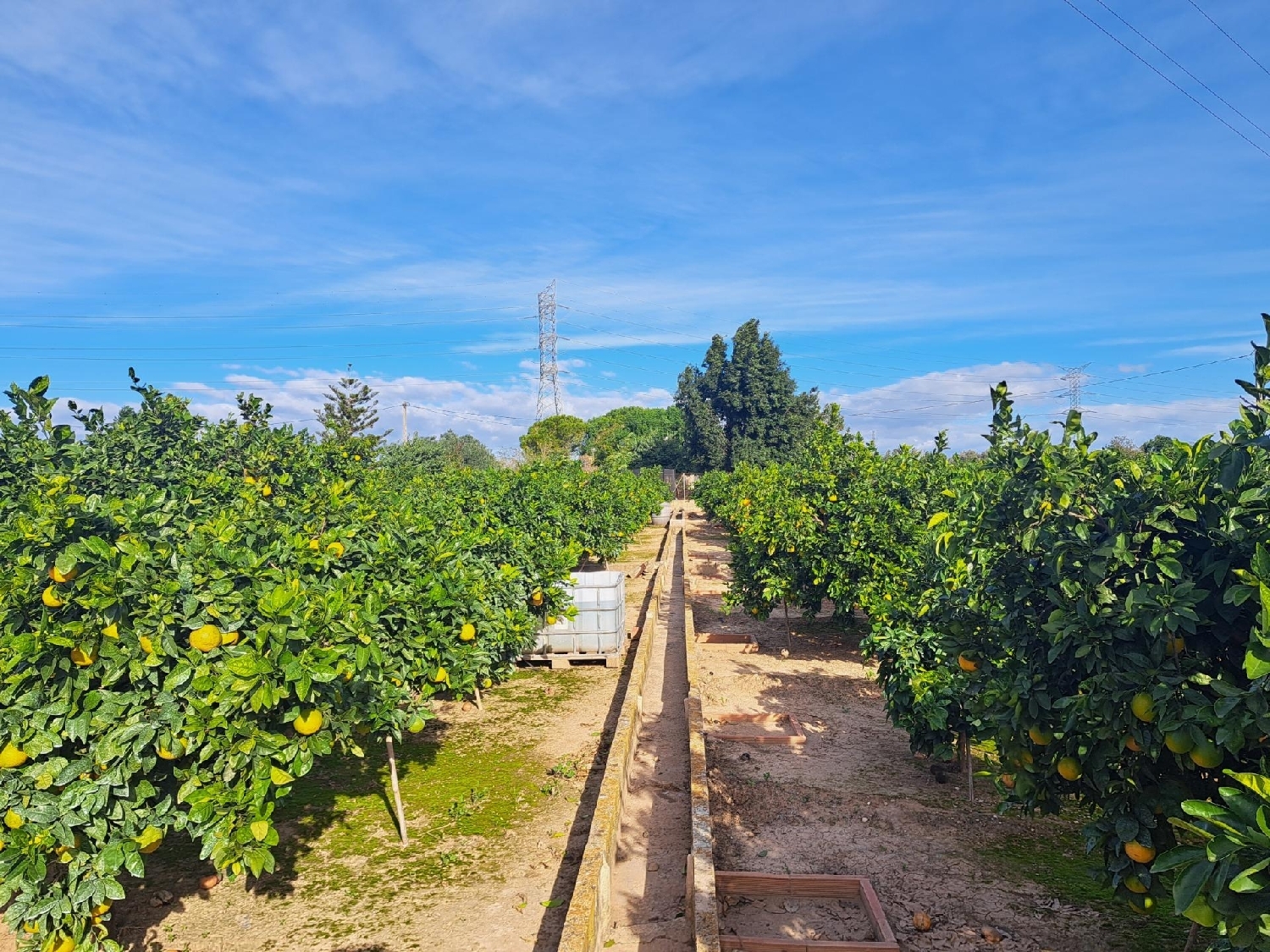  te koop perceel Alzira Ribera Alta 7