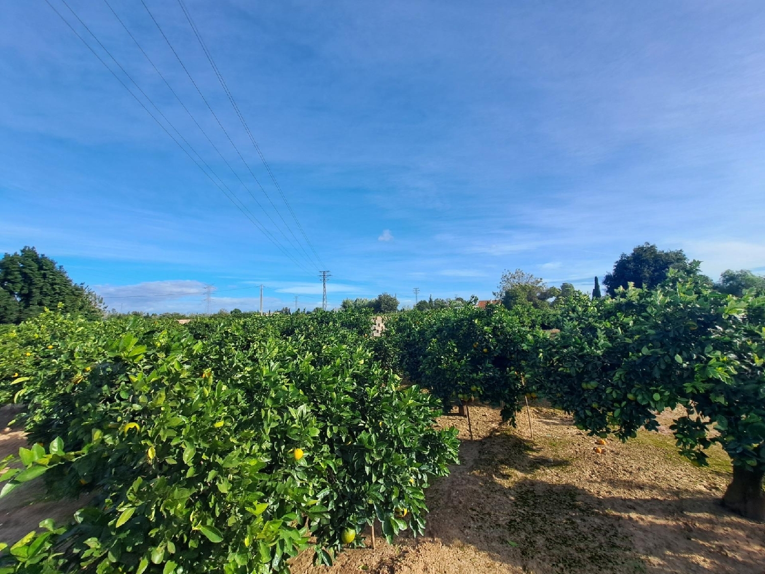  te koop perceel Alzira Ribera Alta 8