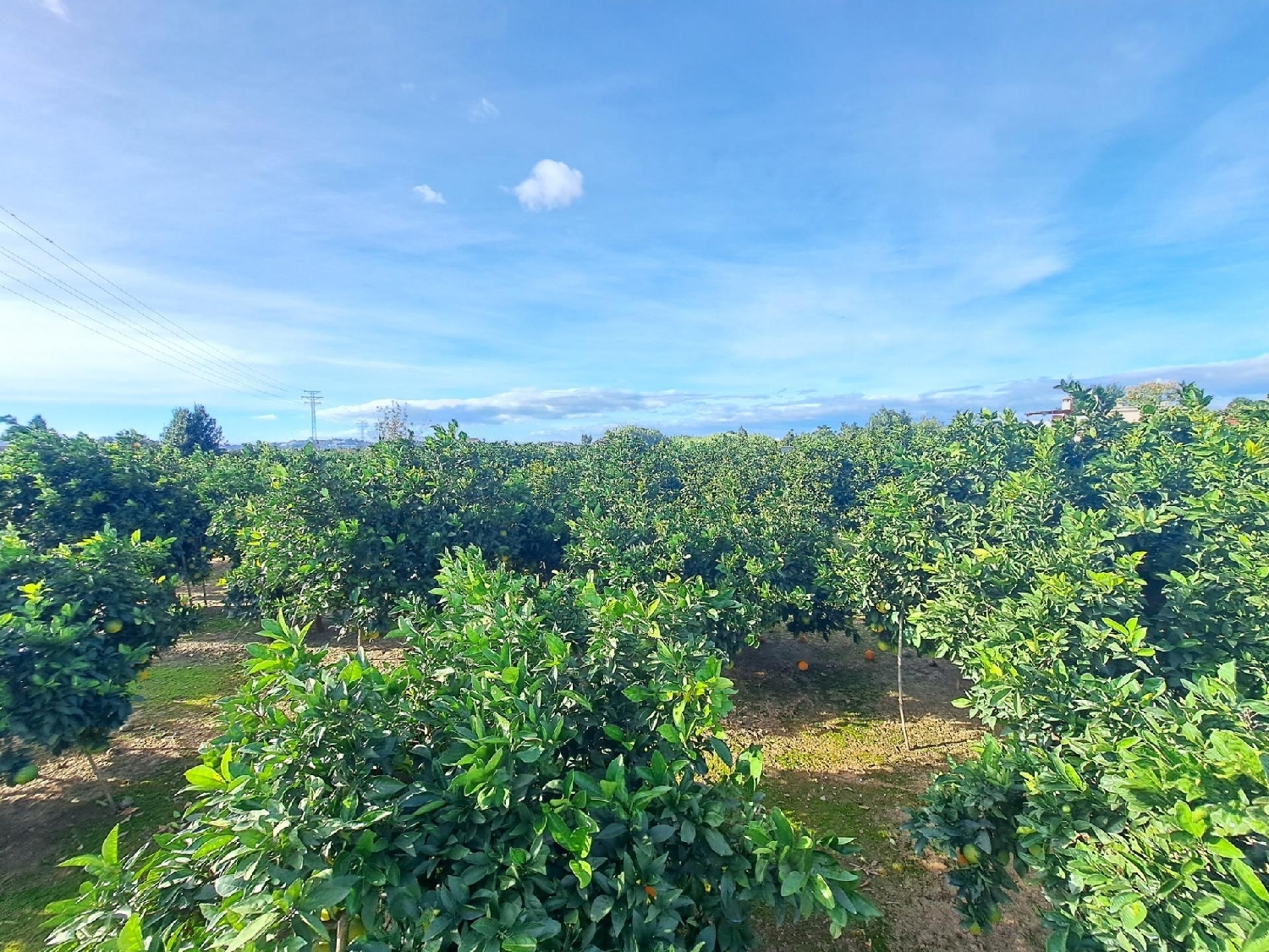  te koop perceel Alzira Ribera Alta 5