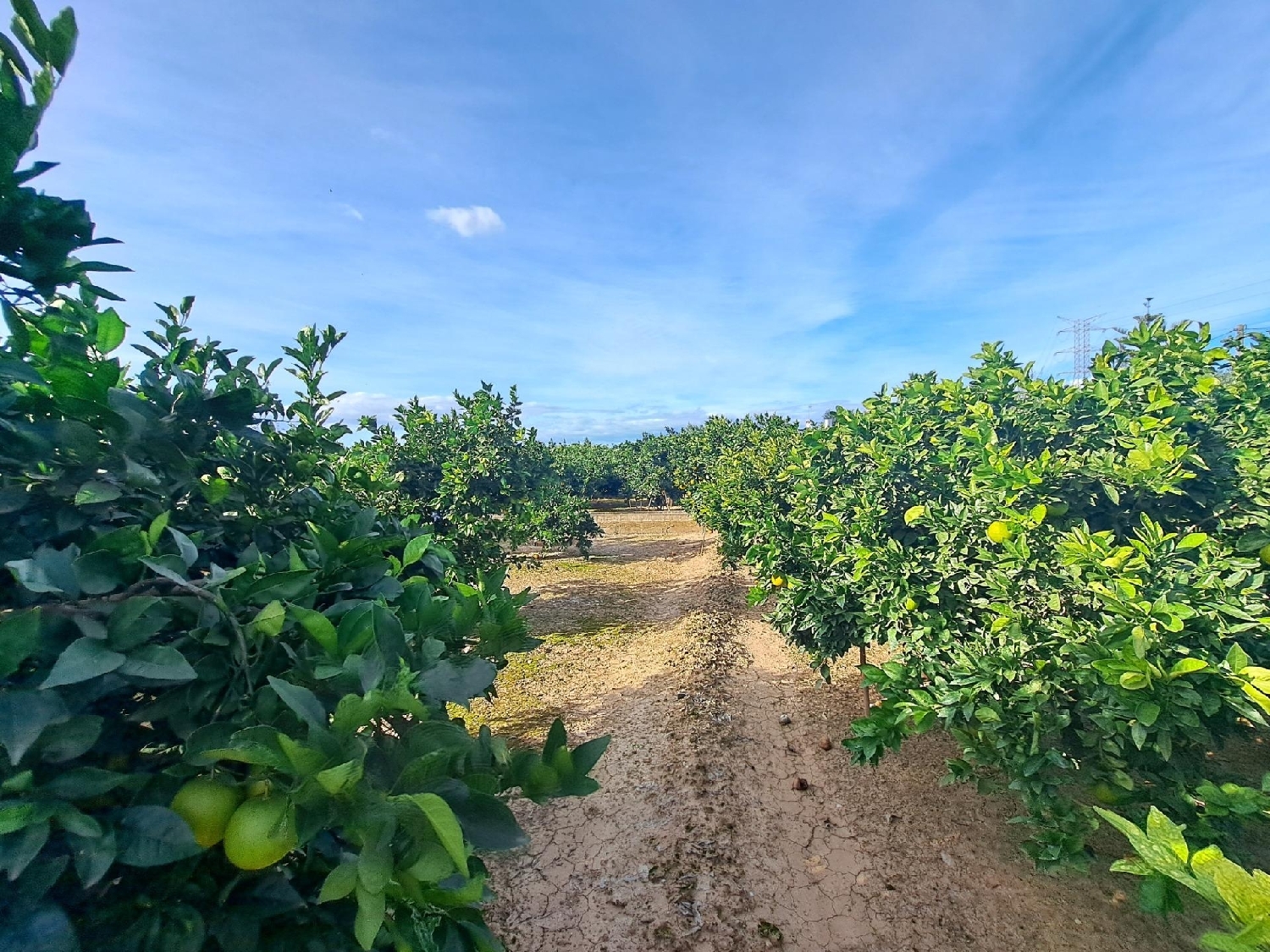  te koop perceel Alzira Ribera Alta 4