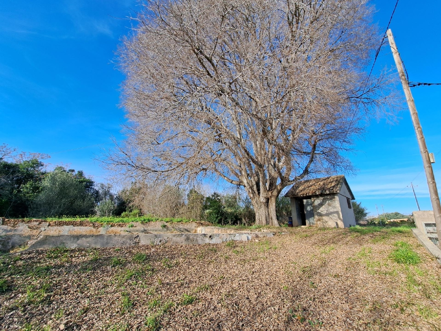 te koop perceel Alzira Ribera Alta 6