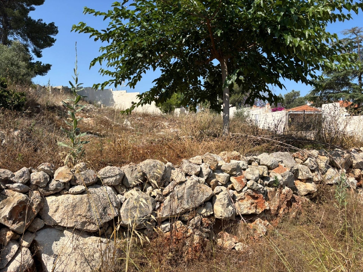  kaufen Grundstück Alzira Ribera Alta 4