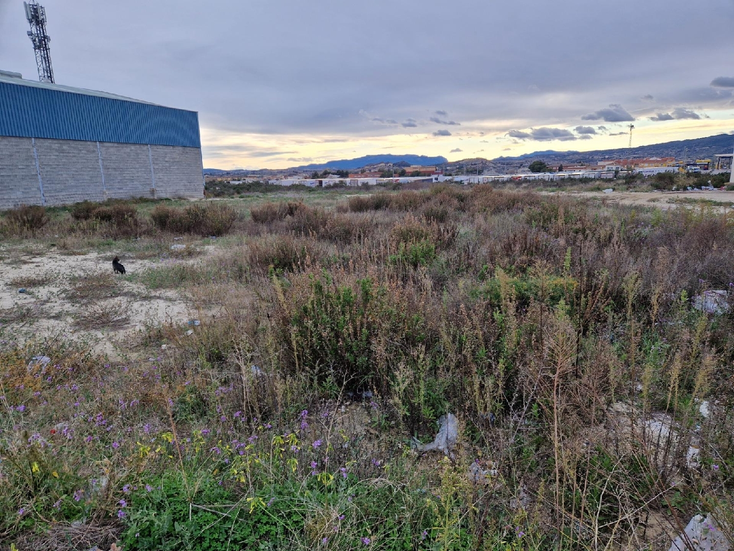  te koop perceel Archena Valle De Ricote 5