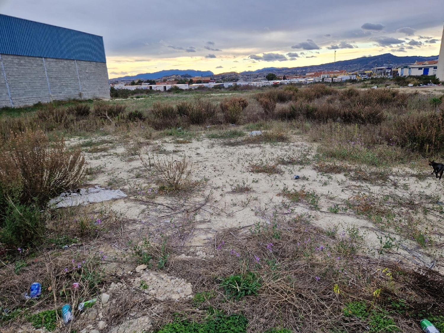  te koop perceel Archena Valle De Ricote 3