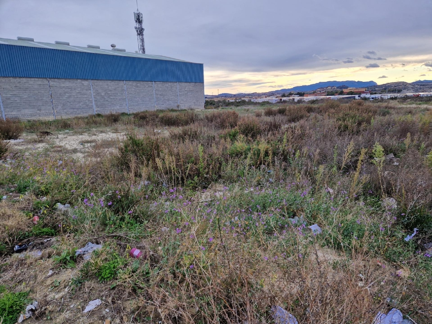  te koop perceel Archena Valle De Ricote 7