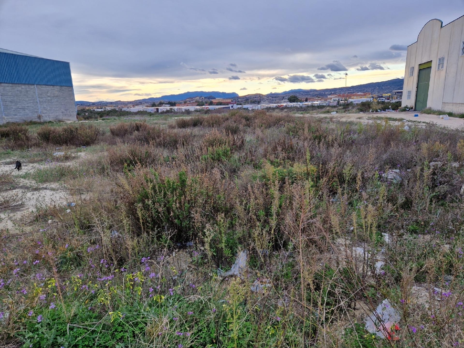  te koop perceel Archena Valle De Ricote 6