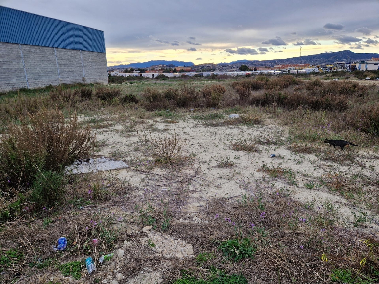  te koop perceel Archena Valle De Ricote 4