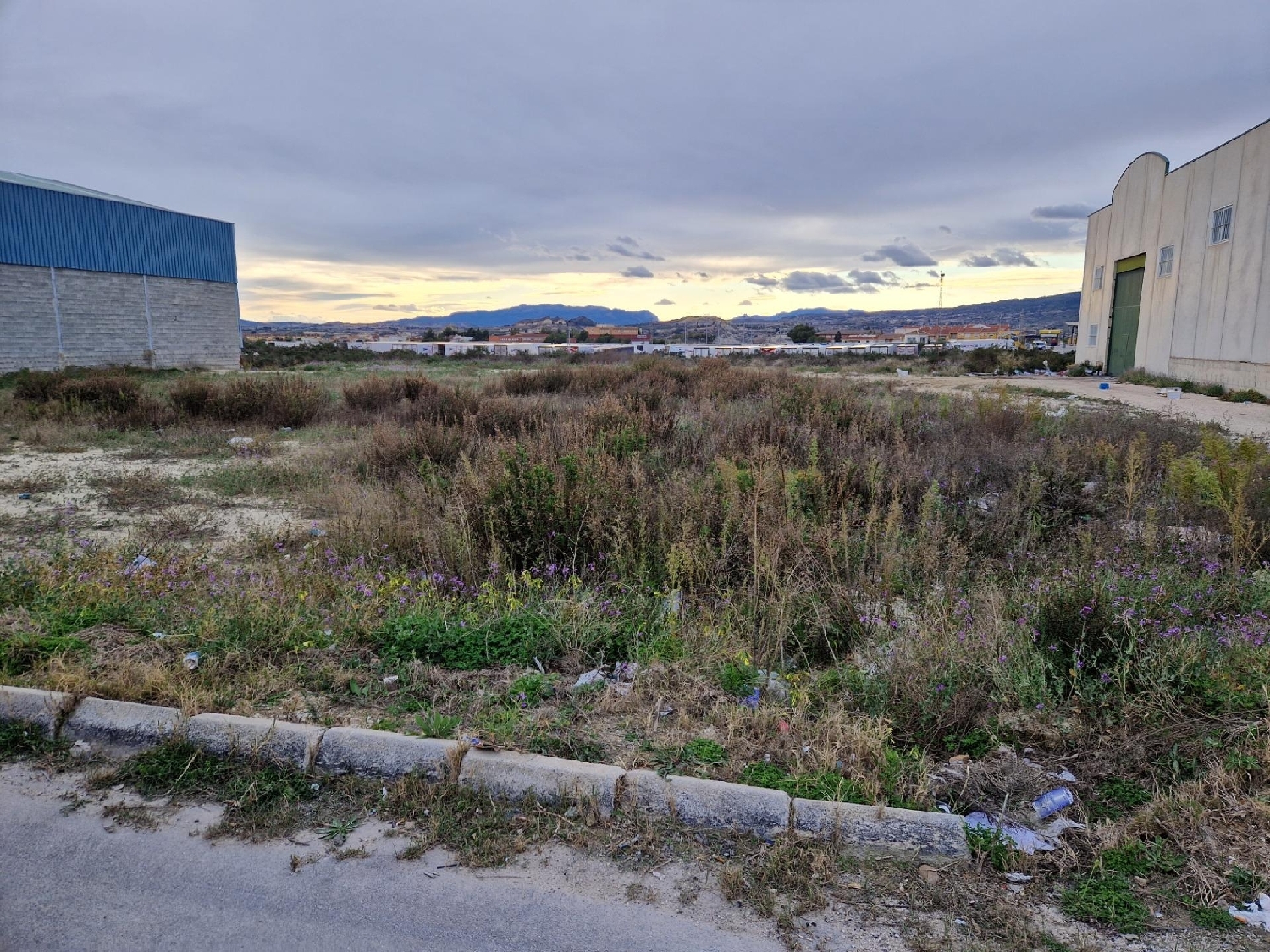  te koop perceel Archena Valle De Ricote 8