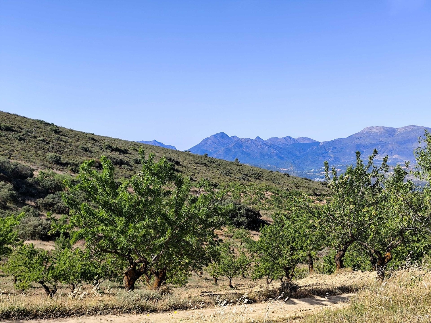  for sale plot Arenas Del Rey Alhama 7