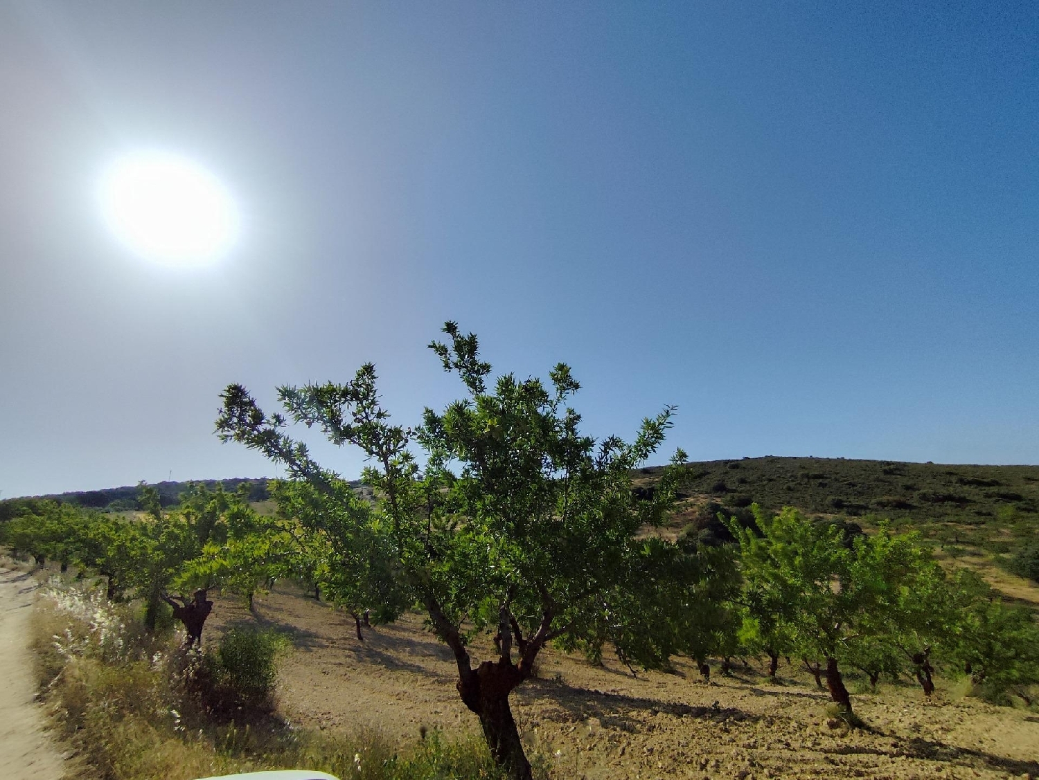  for sale plot Arenas Del Rey Alhama 2