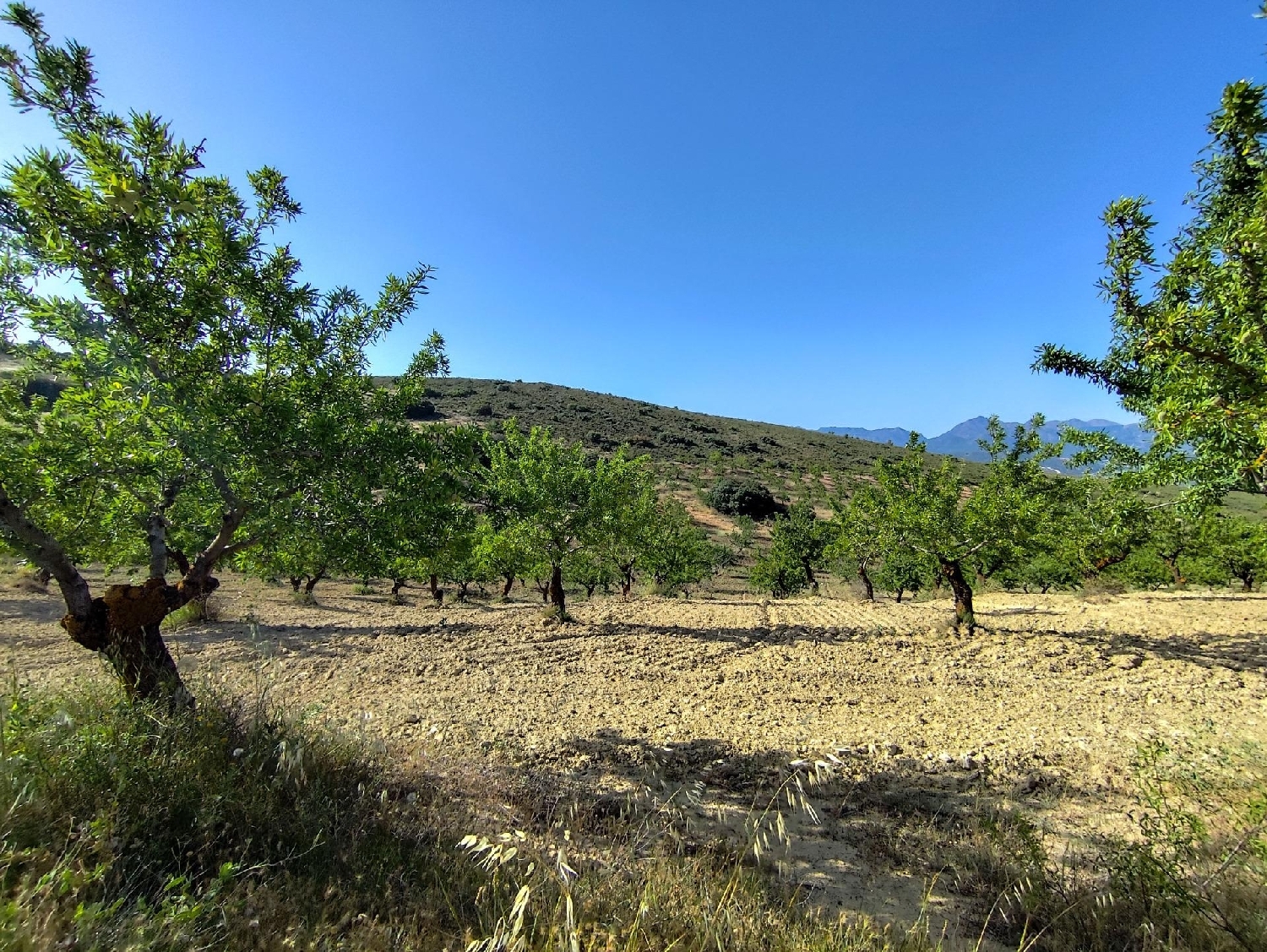  for sale plot Arenas Del Rey Alhama 4