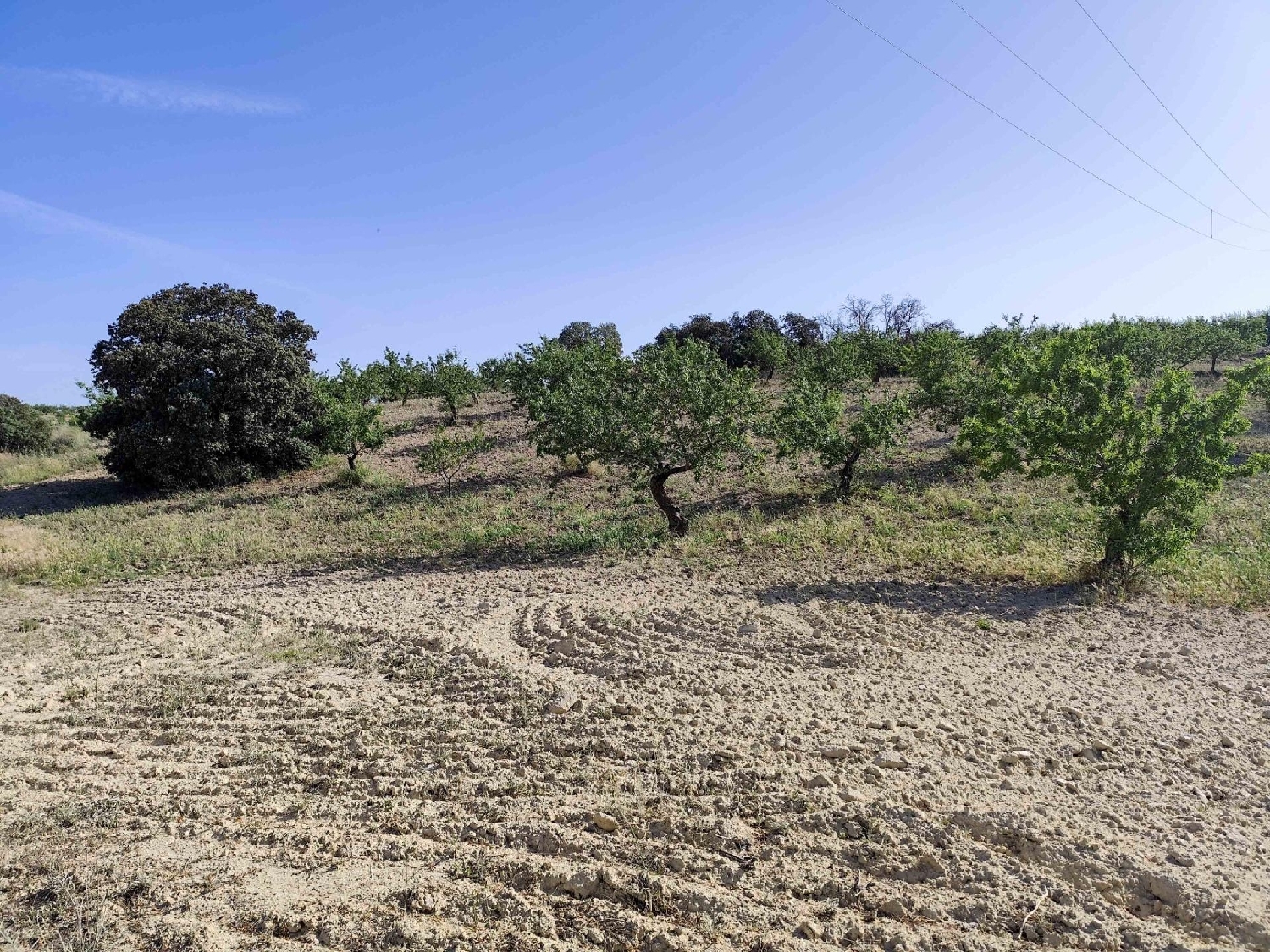  for sale plot Arenas Del Rey Alhama 5