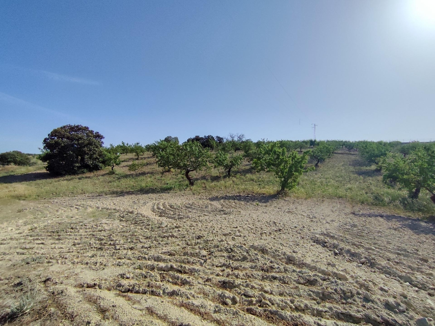  for sale plot Arenas Del Rey Alhama 8