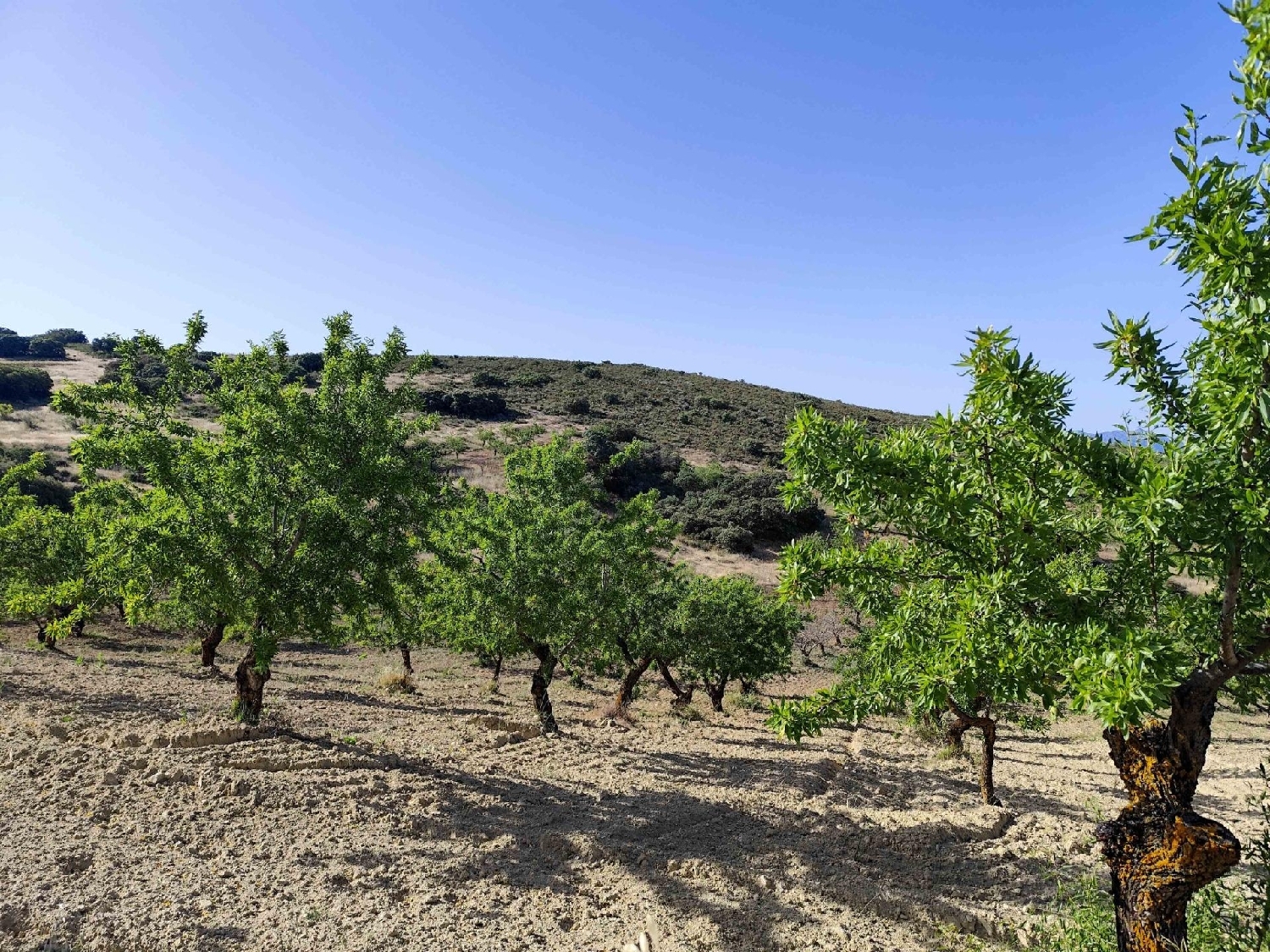  for sale plot Arenas Del Rey Alhama 6